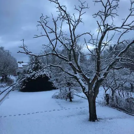 Doppelzimmer In Der Naturpark Rheinblick, Ruhig, Aussicht, Pool Koblenc