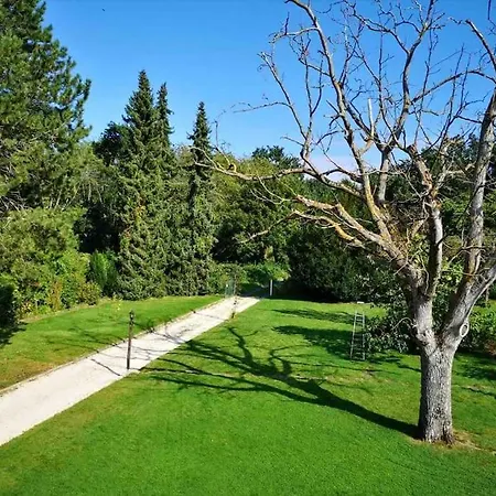 Doppelzimmer In Der Naturpark Rheinblick, Ruhig, Aussicht, Pool Apartment